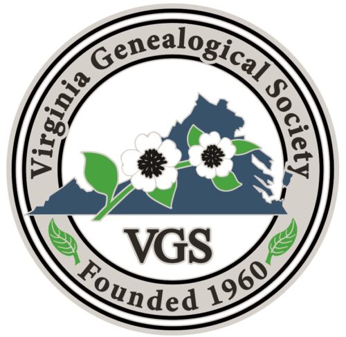 VGS Enamel Lapel Pin